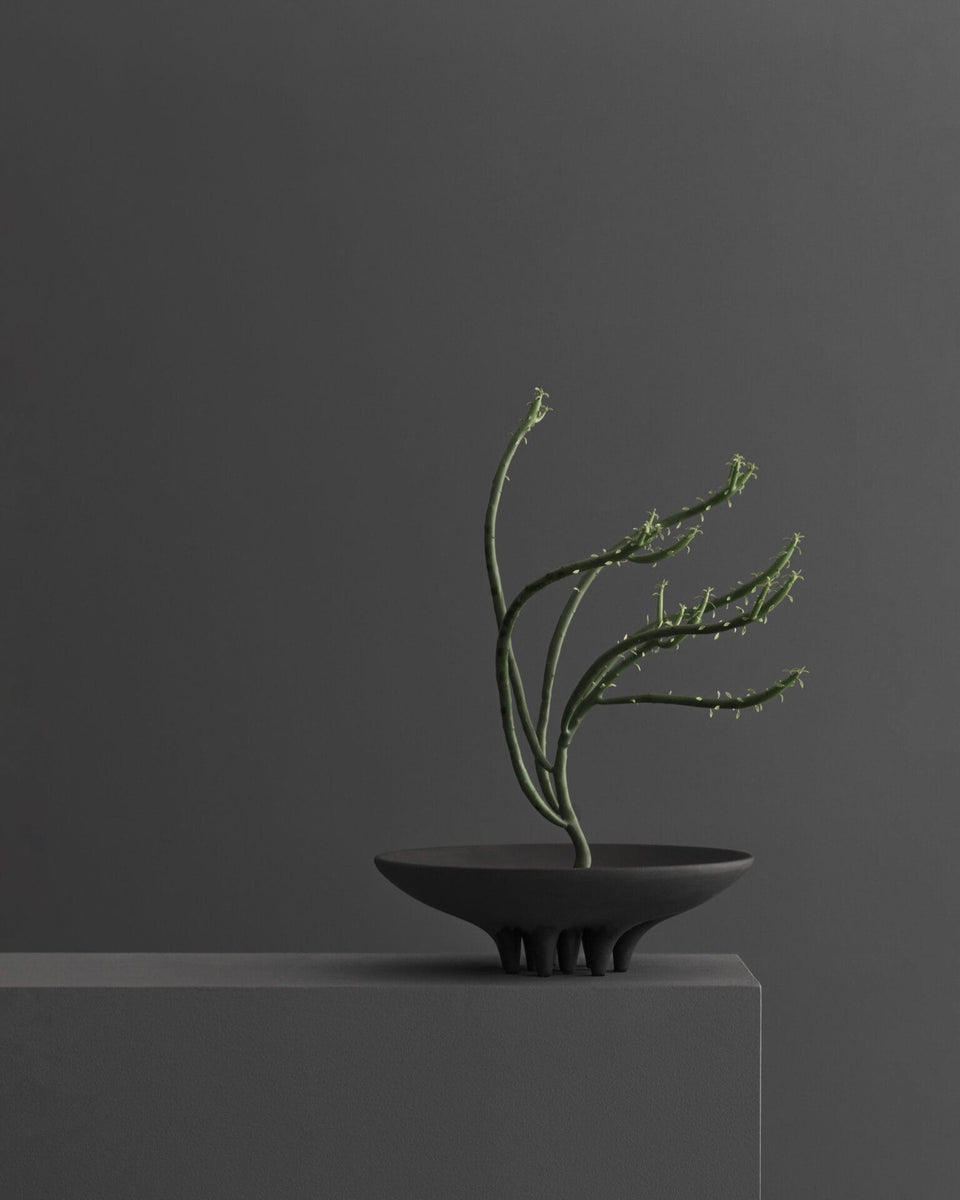 Medusa Tray, Mini - Coffee