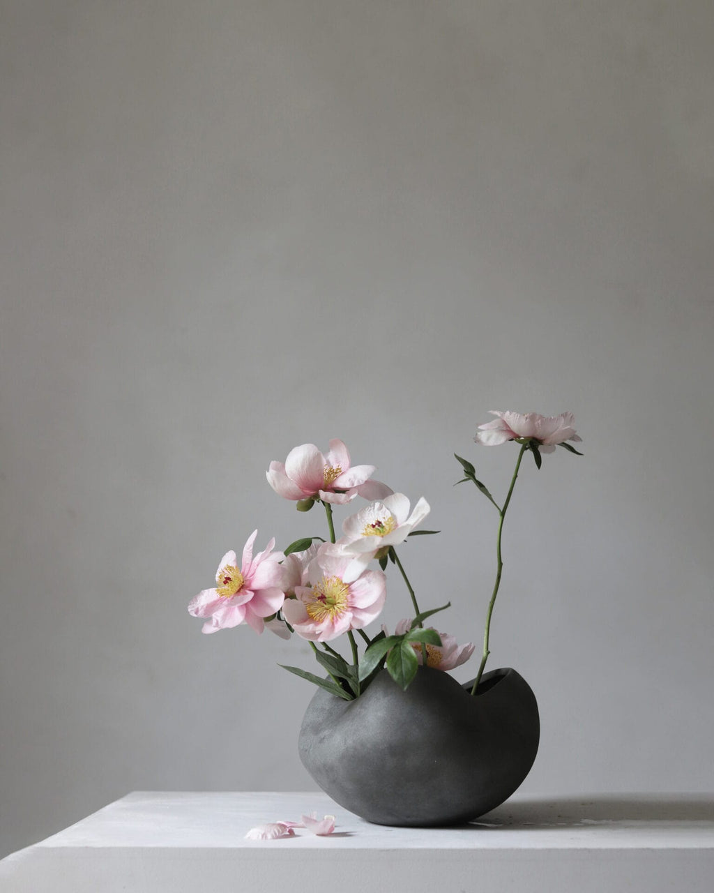 Curve Bowl, Big - Dark Grey
